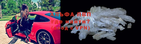 мяу мяу мука Пестово