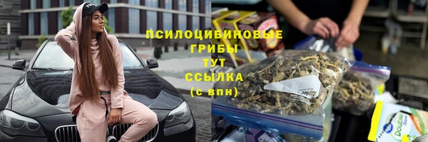 круглые Алексеевка