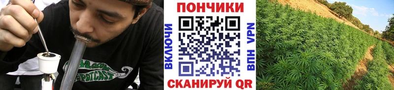 Шишки марихуана тримм  Ува 